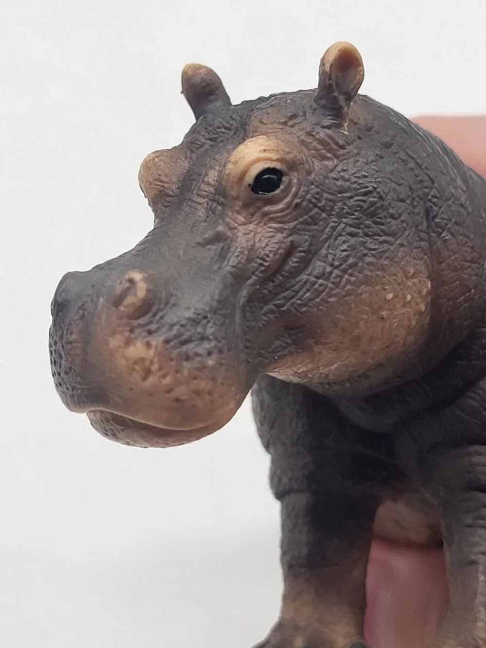 Schleich Hippo D-73527 Hippopotamus Mouth Closed Wildlife Toy Figure